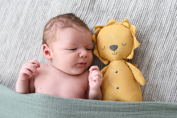 Neugeborenenfoto oder Newborn im trendsetter Fotostudio Chemnitz