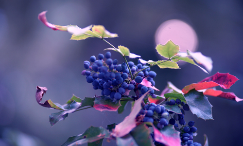 In der blauen Stunde fotografieren und die Lichter der Dämmerung einfangen.