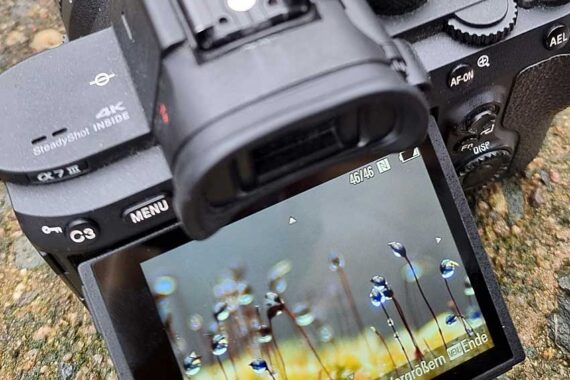 lerne die digitale Fotografie mit der Sony Kamera kennen